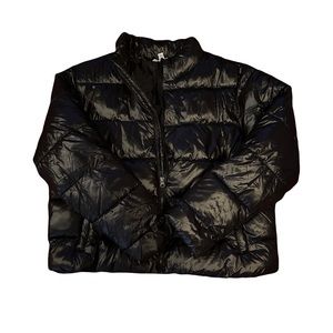 no boundaries puffer